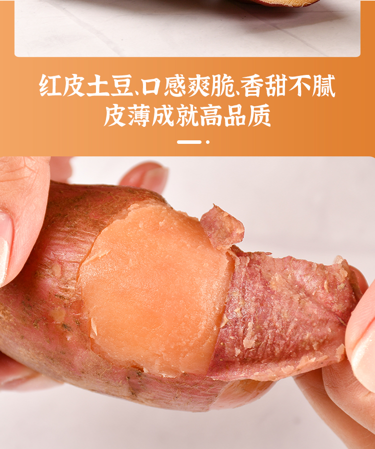 极地物语 青藏高原 牦牛骨浓汤刀削面 非油炸方便速食特产(图9)