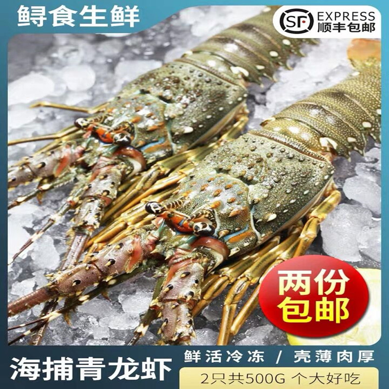 2只/斤大龙虾新鲜青龙虾海鲜鲜活冷冻水产龙虾 (顺丰包邮，个